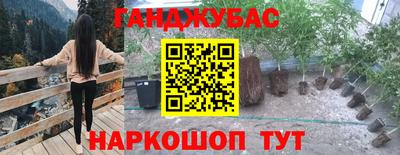 эйфоретик Кинель