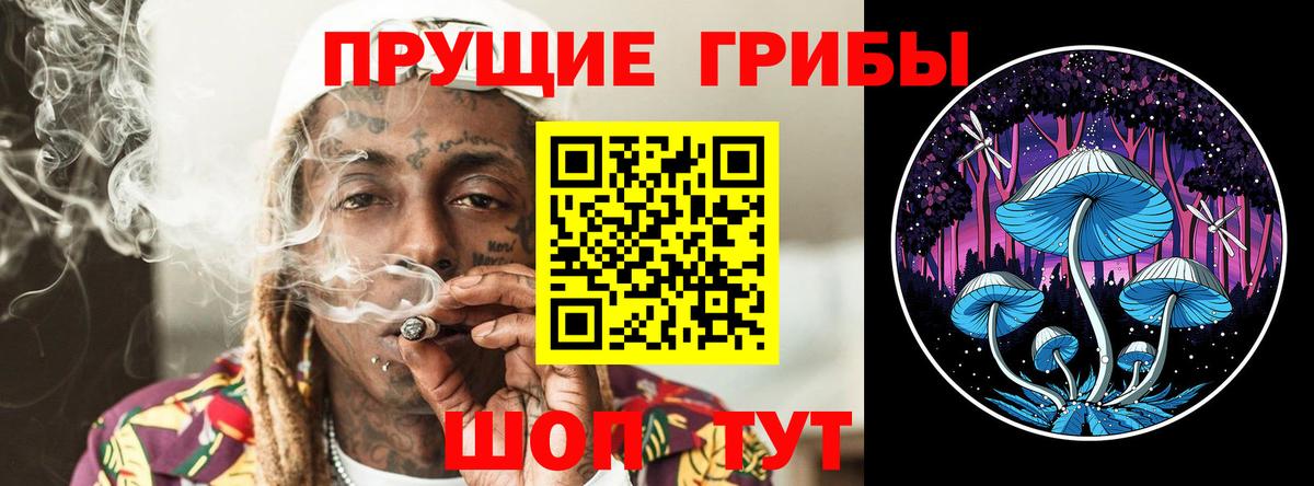 Галлюциногенные грибы Magic Shrooms  Галлюциногенные грибы Cubensis  хочу   Котельники  Вход с VPN 